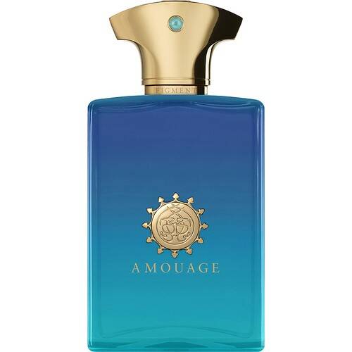 Amouage Figment Edp 100ML Men's Perfume - 1