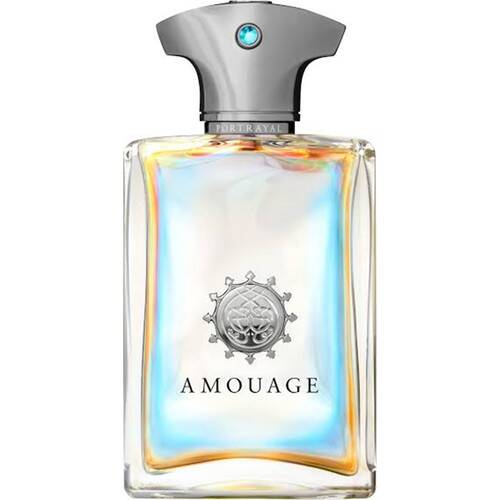 Amouage Portrayal Edp 100ml Men's Perfume - 1