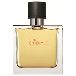 Hermes Terre D'Hermes EDT 100 Ml Men's Perfume - 1