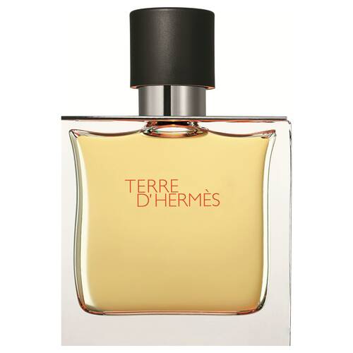 Hermes Terre D'Hermes EDT 100 Ml Men's Perfume - 1