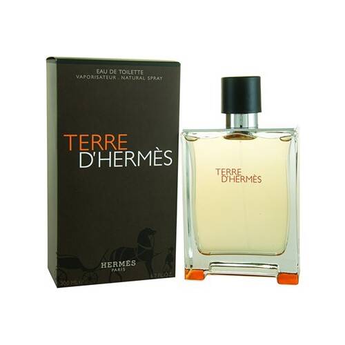 Hermes Terre D'Hermes EDT 100 Ml Men's Perfume - 2