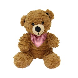 Scarf Bear Plush Toy 22 cm - 1